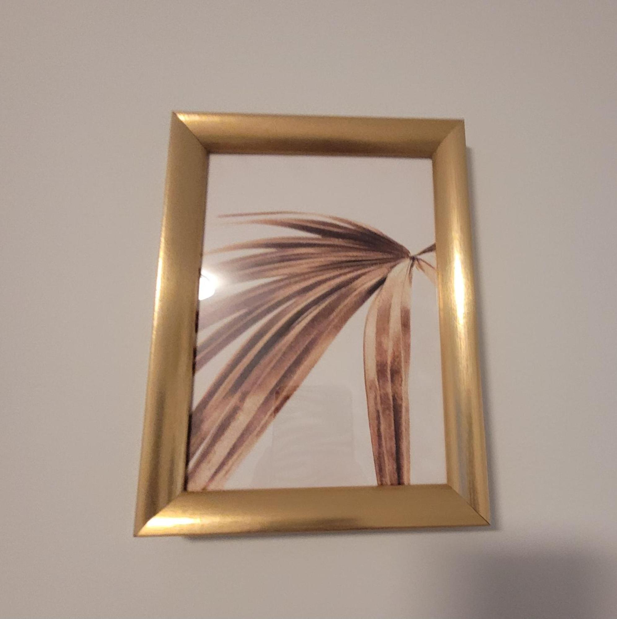 Gold Oasis Apartment Ελ Μέντανο Εξωτερικό φωτογραφία